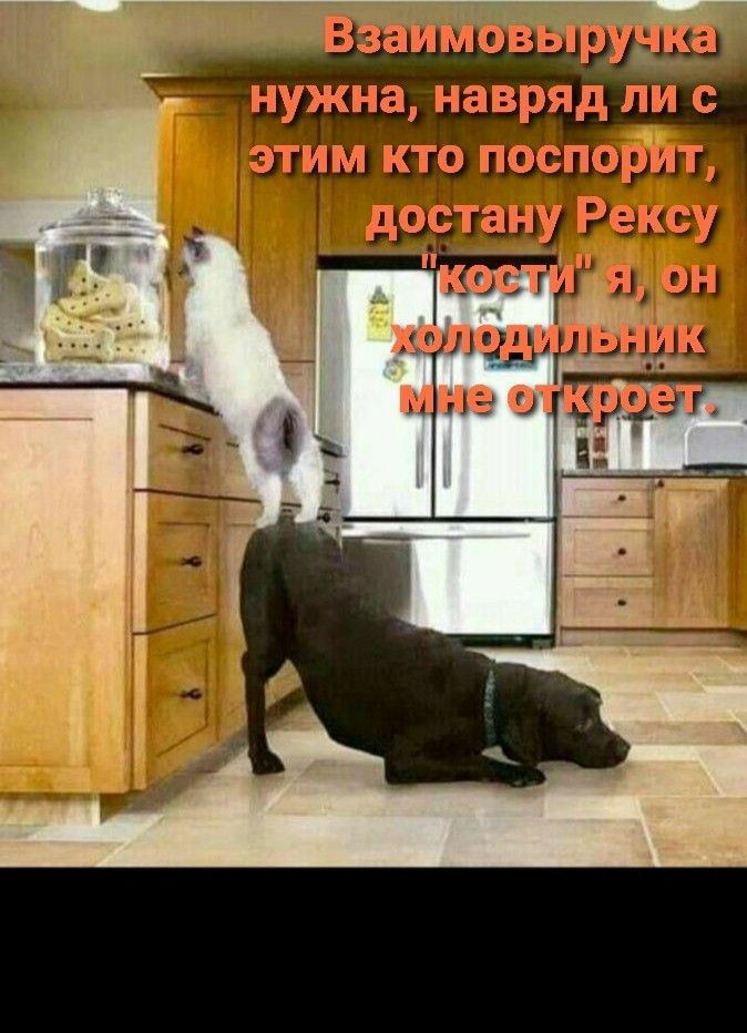 дружил р щ ЧЁ _ТЬЦГ мкл дм _ рёгі ___ц