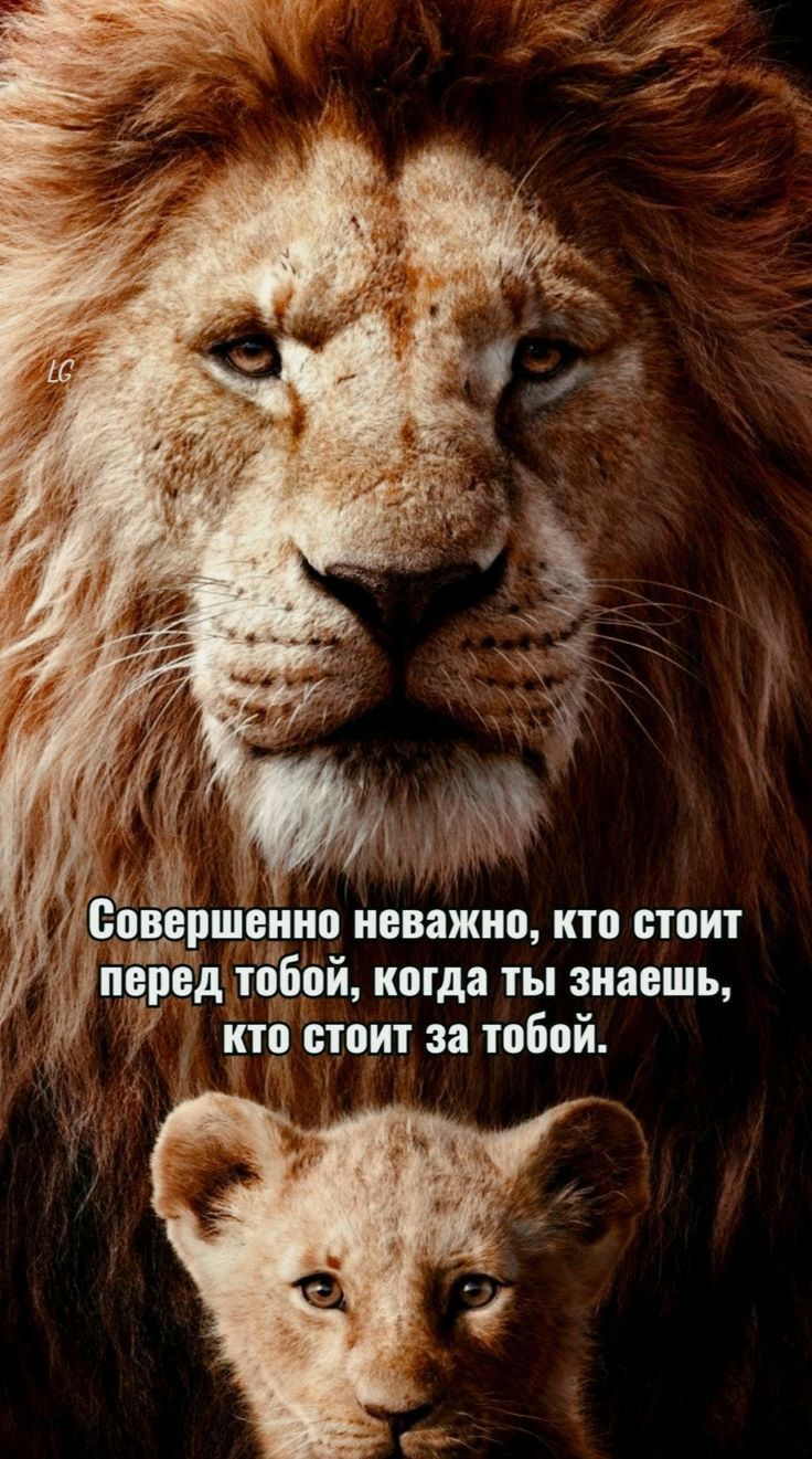 сйыв ршвішп ивважип кто стоит пу ед тббпй когда ты знаешь итп стоит за тобой