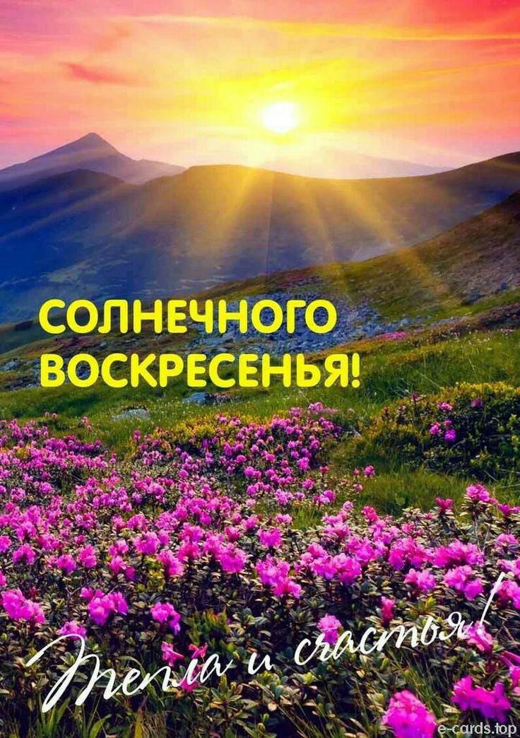 солнечного воскресенья