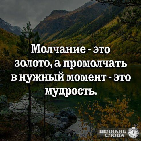 Молчание это золото промелчать в нужный момент это мудрость винте МШД