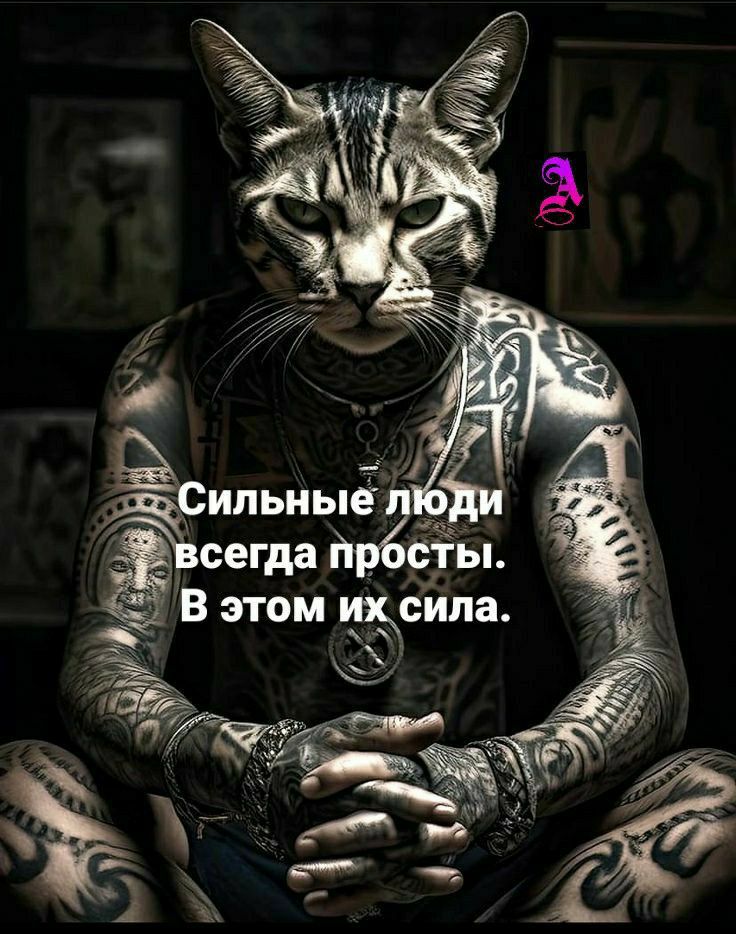 ипьныё сегда сты Ё этом жсипа г _