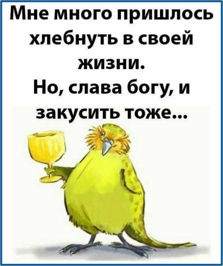Мне много пришлось хлебнуть в своей жизни Но слава богу и закусить тоже