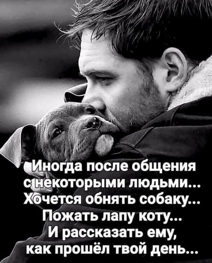 и щим после общения которыми людьми чется обнять собаку пожать лапу коту И рассказать ему как прошёл твой день