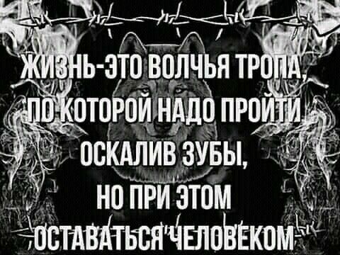 інстдвктвсятішпЬЕкомЫ
