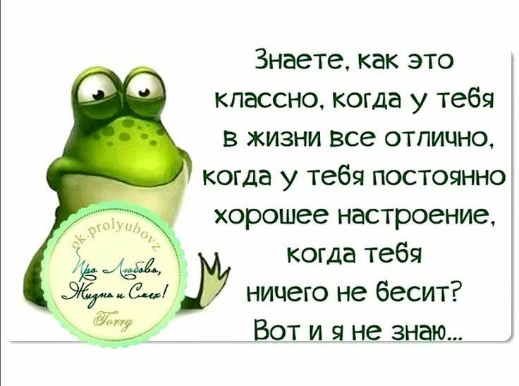 Знаете как это классно когда у тебя в жизни все отлично когда у тебя постоянно хорошее настроение когда тебя ничего не бесит Вот и я не знаю