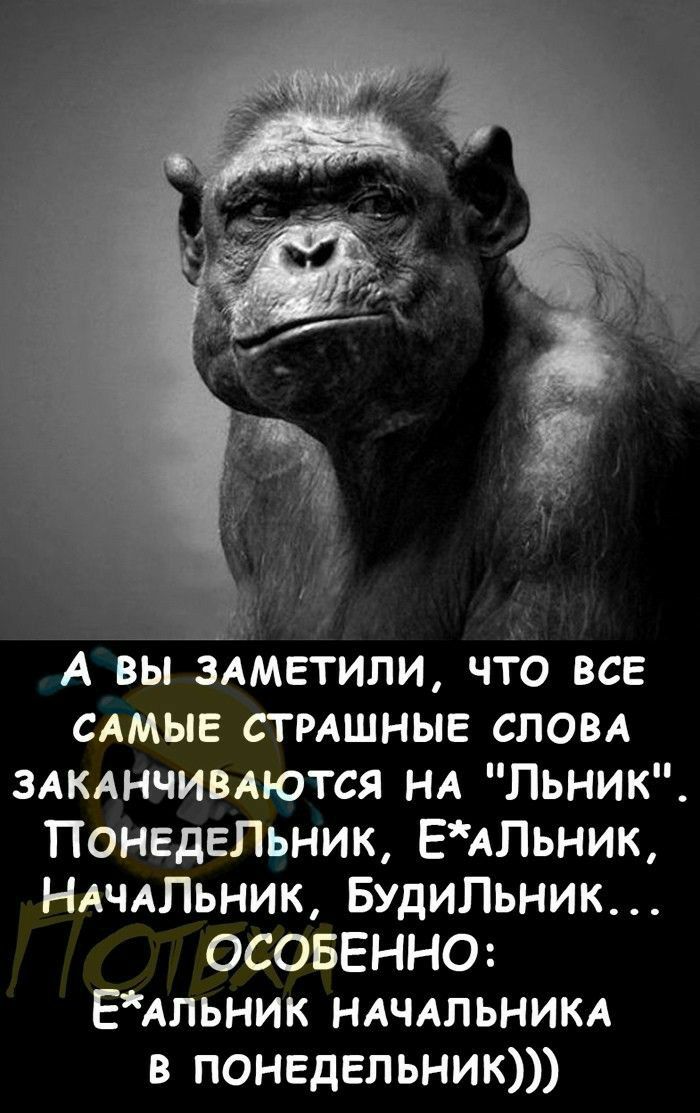 А вы здметили что все САМЫЕ стмшньпе СЛОВА ЗАКАНЧИВАЮТСЯ НА Льник ПОНЕДЕЛЬНИК ЕАПЬНИК НАЧАЛЬНИК БудиЛьник ОСОБЕННО ЕАльник НАЧАЛЬНИКА в понедельник