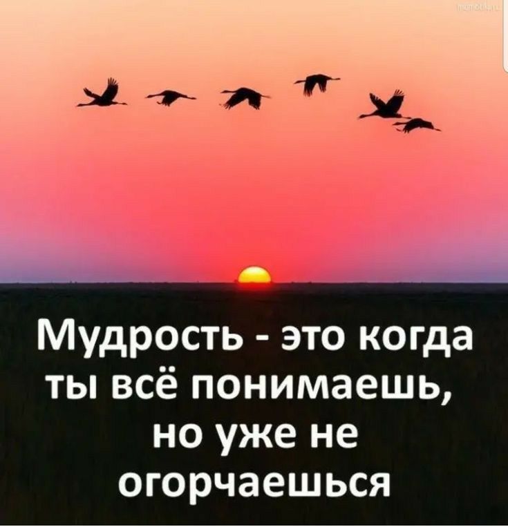 Мудрость это когда ты всё понимаешь но уже не огорчаешься