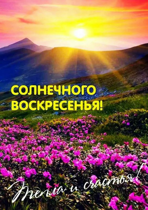 солнечного воскресенья _