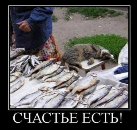 СЧАСТЬЕ ЕСТЬ