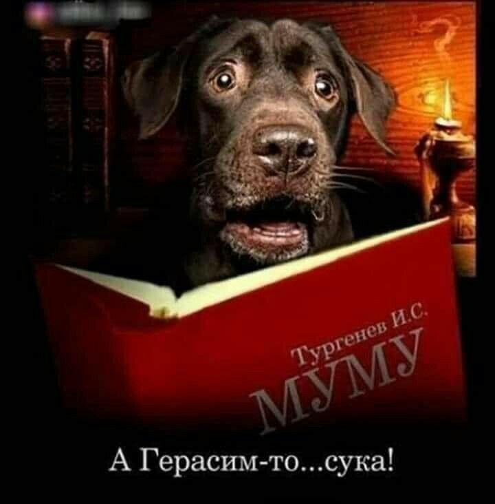 А Герасим тосука