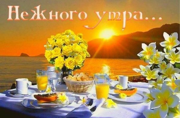 НЖНГО У ПРі о