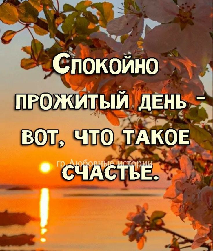 АМВ МР Спокоино ПРОЖИТЫЙ ДЕНЬ ВОа ЧТО тАков СЧАСТЕЕА