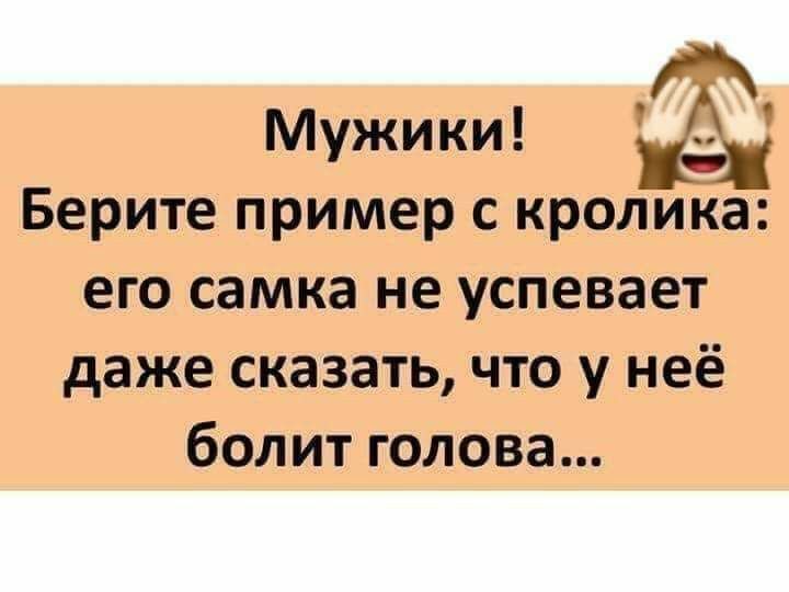 ши Мужики мМ Берите пример с кролика его самка не успевает даже сказать что у неё болит голова