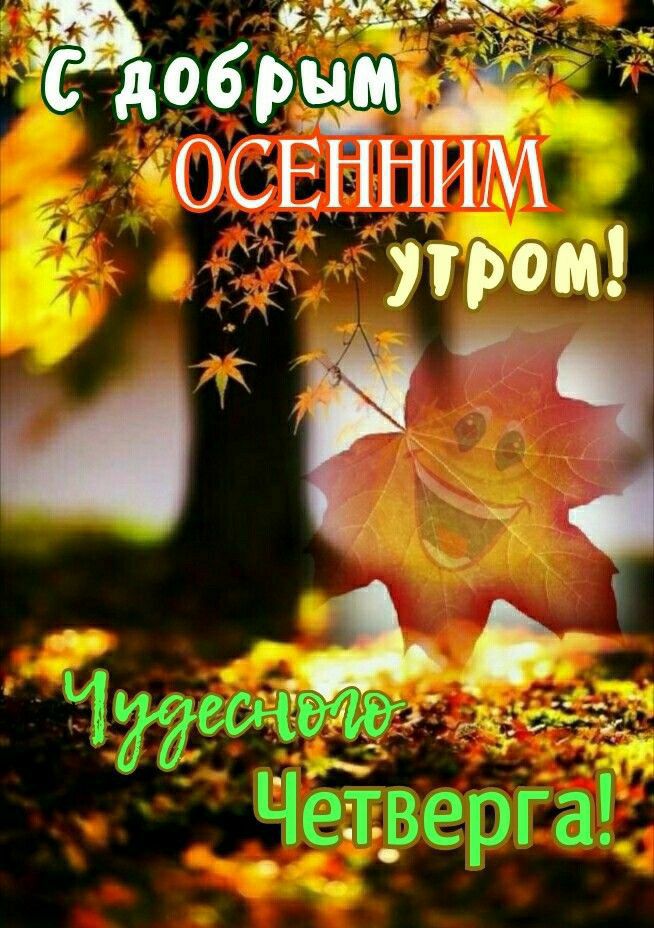 1Сдобрымнащия ОСЕННИМ ос утром 3 ё