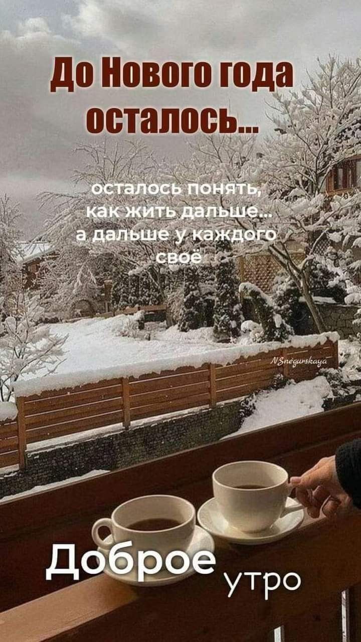 До Нового года й