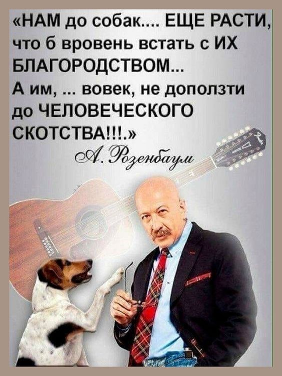 НАМ до собак ЕЩЕ РАСТИ что 6 вровень встать с ИХ БЛАГОРОДСТВОМ Аим вовек не доползти до ЧЕЛОВЕЧЕСКОГО СКОТСТВА РС ОТ ра