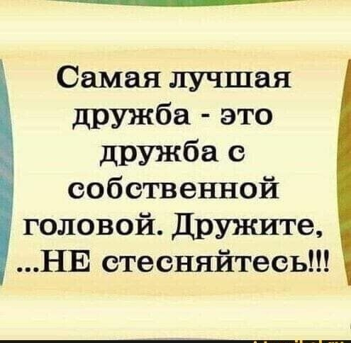 Самая лучшая дружба это дружба с собственной головой Дружите НЕ стесняйтесь