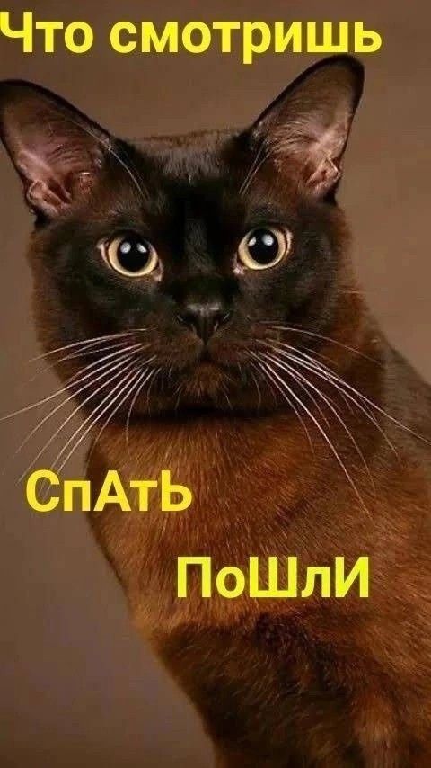 Что смотришь э 2 СпАтЬ ПоШлИ