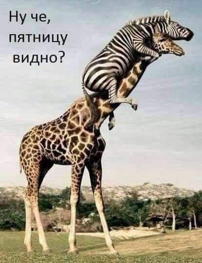 Ну че, пятницу видно?