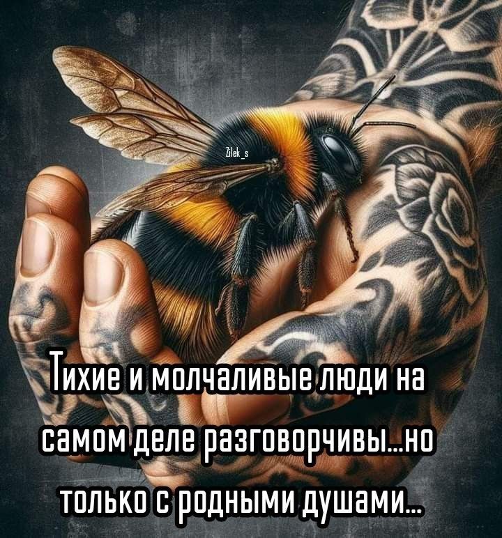 Тихие и молчаливые люди на самом деле разговорчивы... но только с родными душами...