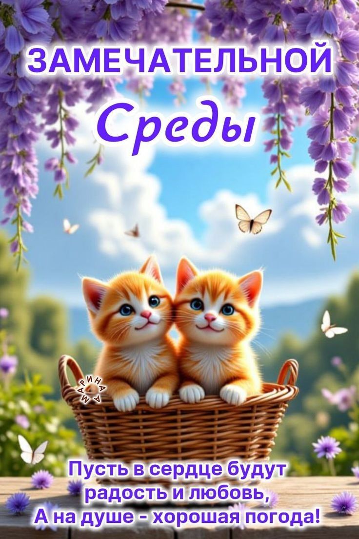 ЗАМЕЧАТЕЛЬНОЙ СРЕДЫ
Пусть в сердце будут радость и любовь,
А на душе - хорошая погода!