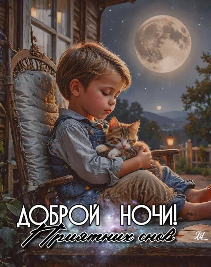 ДОБРОЙ НОЧИ! Приємних снів