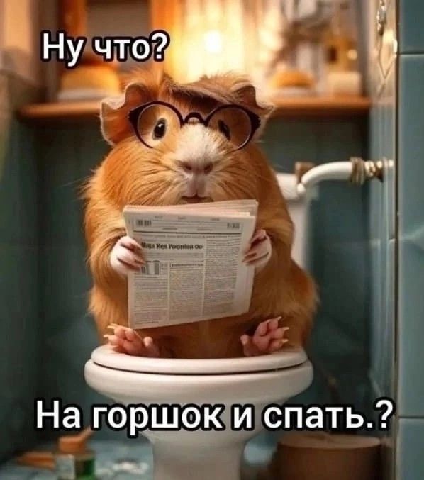 Ну что? На горшок и спать.?