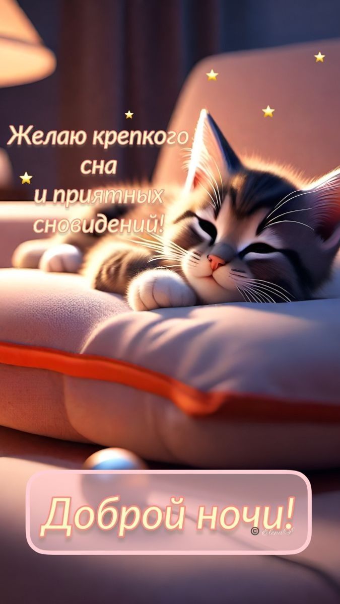 Желаю крепкого сна и приятных сновидений! Доброй ночи!
