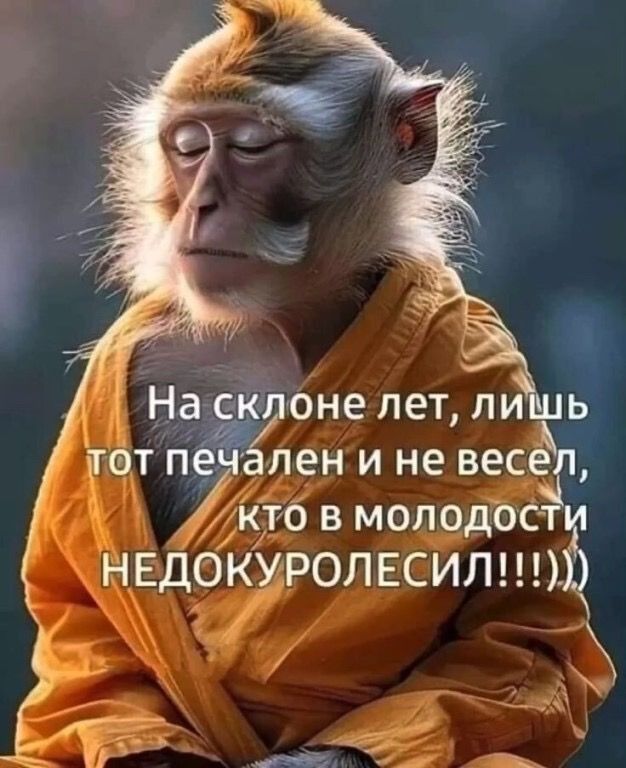 На склоне лет, лишь тот печален и не весел, кто в молодости НЕДОКУРОЛЕСИЛ!!!!!))