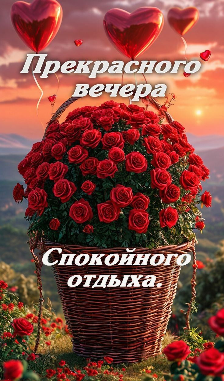 Прекрасного вечера
Спокойного отдыха.