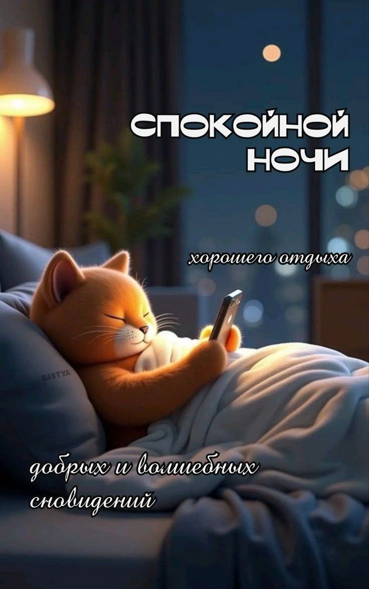 СПОКOINОЙ НОЧИ
хорошего отдыха
добрых и волшебных сновидений
