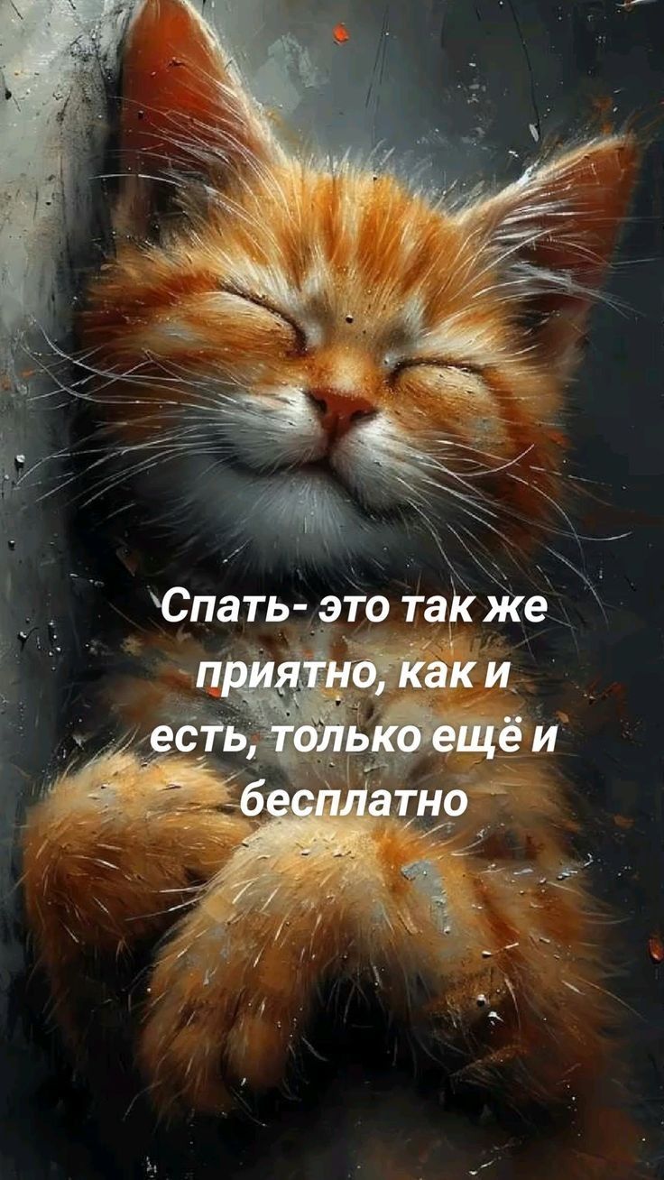Спать- это так же приятно, как и есть, только ещё и бесплатно