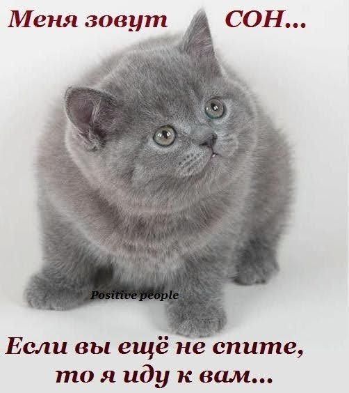 Меня зовут СОН... Если вы ещё не спите, то я иду к вам...