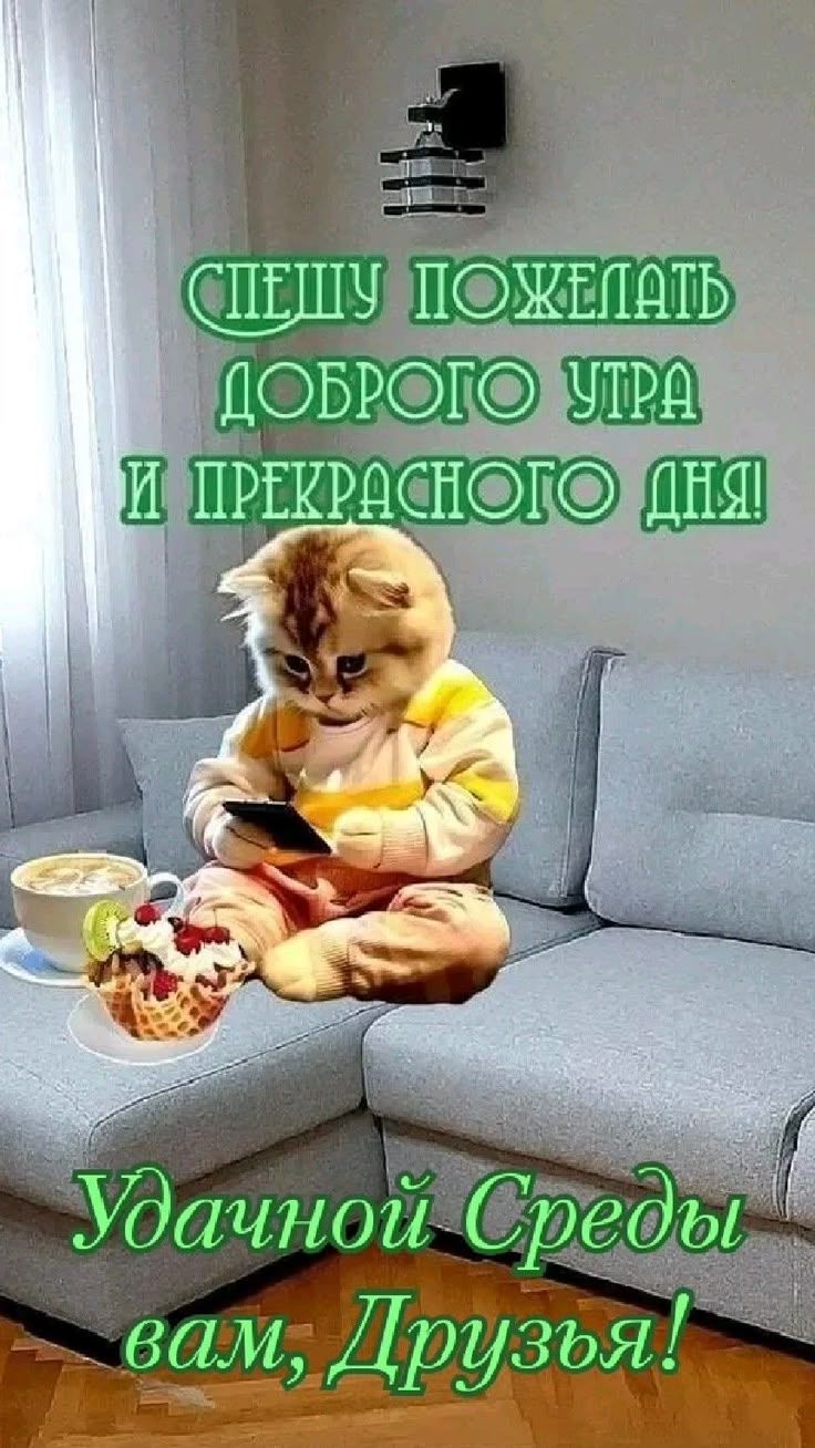 СПЕШУ ПОЖЕЛАТЬ ДОБРОГО УТРА И ПРЕКРАСНОГО ДНЯ! УДАЧНОЙ СРЕДЫ ВАМ, ДРУЗЬЯ!