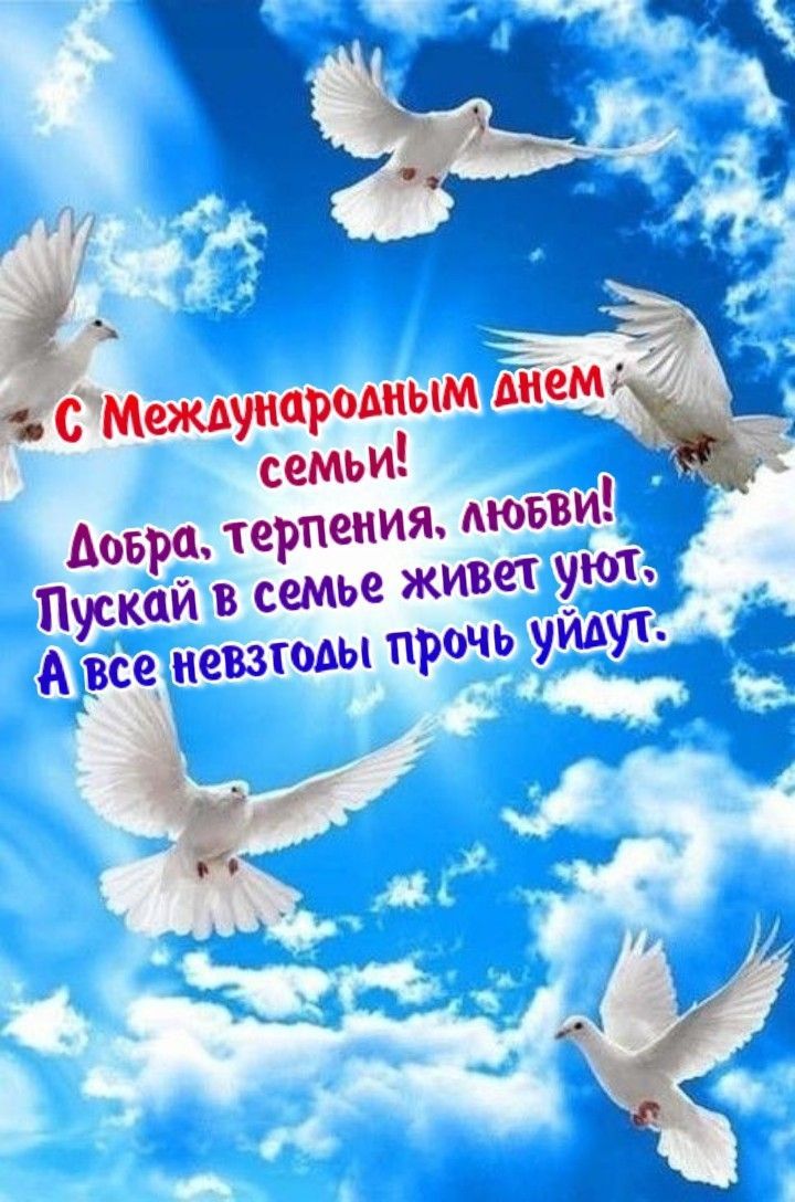 С Международным днем семьи! Добра, терпения, любви! Пускай в семье живет уют. А все невзгоды прочь уйдут.