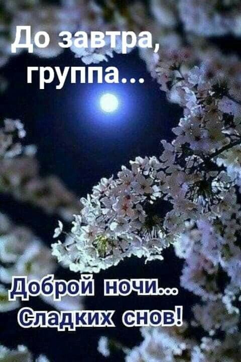 До завтра, группа...
Доброй ночи...
Сладких снов!