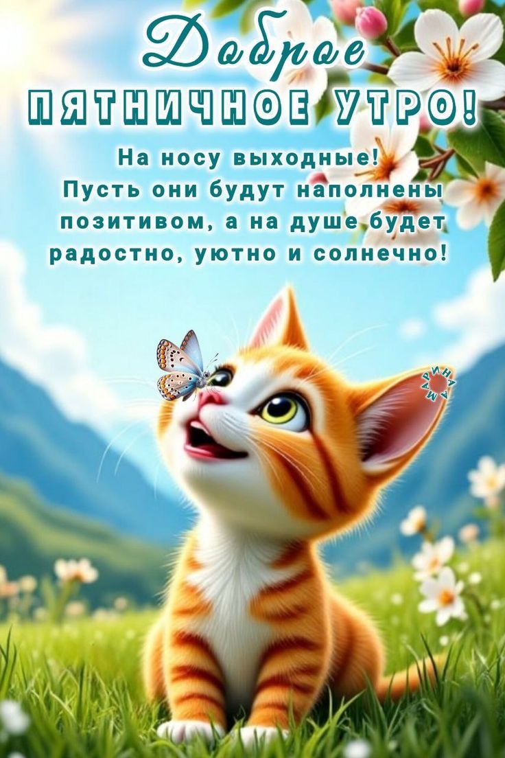 Доброе ПЯТНИЧНОЕ УТРО! На носу выходные! Пусть они будут наполнены позитивом, а на душе будет радостно, уютно и солнечно!