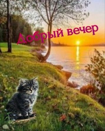 Добрый вечер