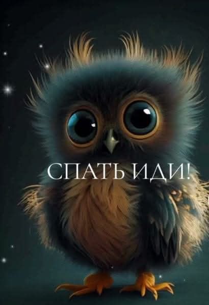 СПАТЬ ИДИ!