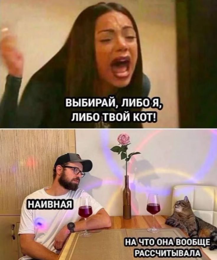 ВЫБИРАЙ, ЛИБО Я, ЛИБО ТВОЙ КОТ!
НАИВНАЯ
НА ЧТО ОНА ВООБЩЕ РАССЧИТЫВАЛА