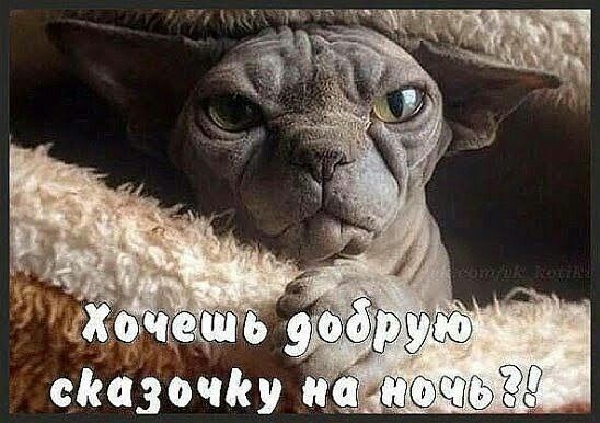 Хочешь добрую сказочку на ночь?!