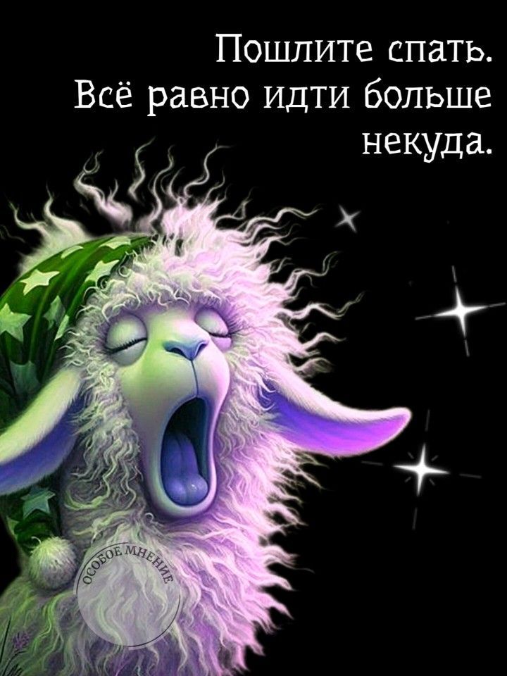 Пошлите спать. Всё равно идти больше некуда.