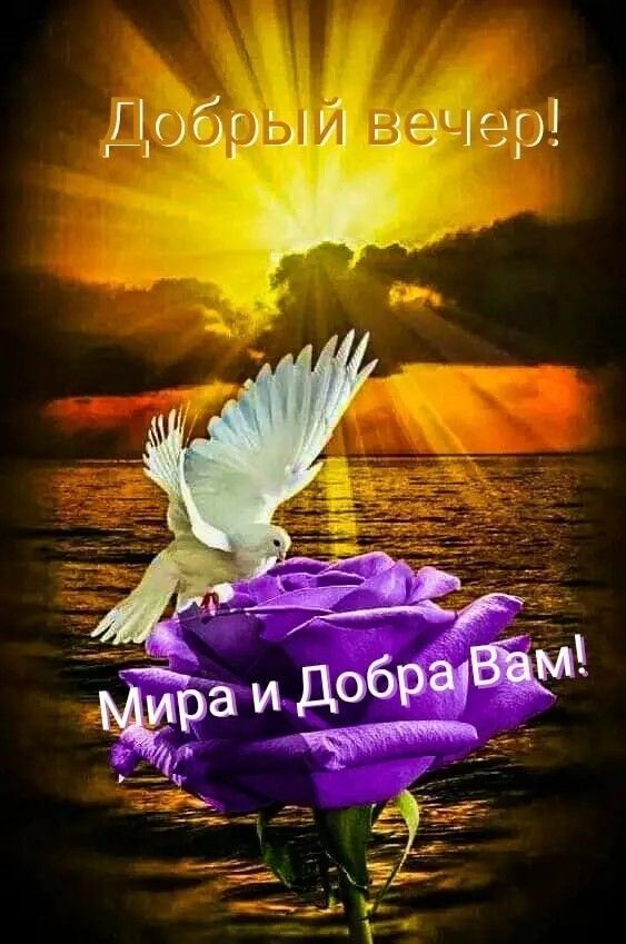 Добрый вечер! Мира и Добра Вам!