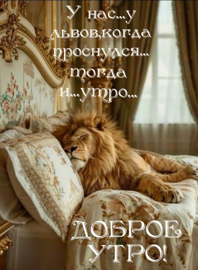У нас...у львов, когда проснулись... тогда и... утро... ДОБРОЕ, УТРО!