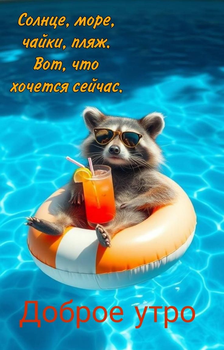 Солнце, море, чайки, пляж. Вот, что wants now.
Доброе утро