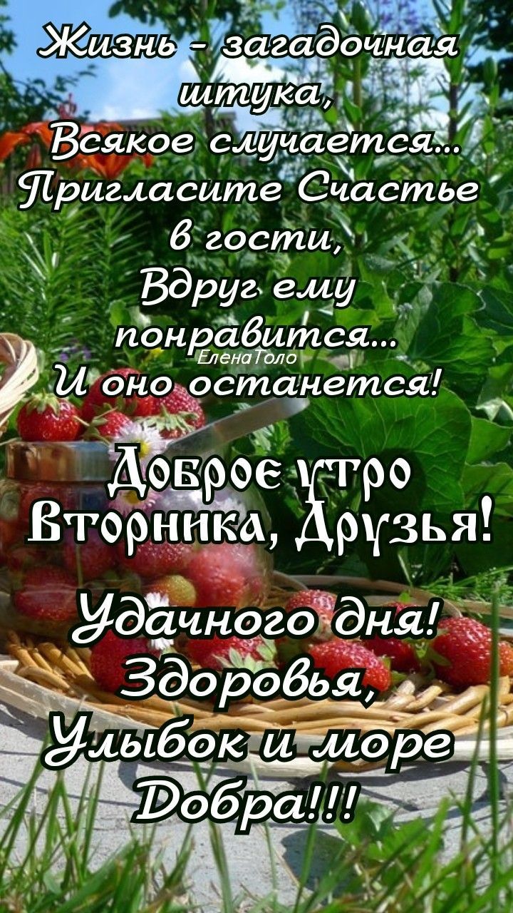 Жизнь - загадочная шутка, Всякое случается... Пригласите Счастье в гости, Вдруг ему понравится... И оно останется! Доброе утро Вторника, Друзья! Удачного дня! Здоровья, Улыбок и море Добра!!!