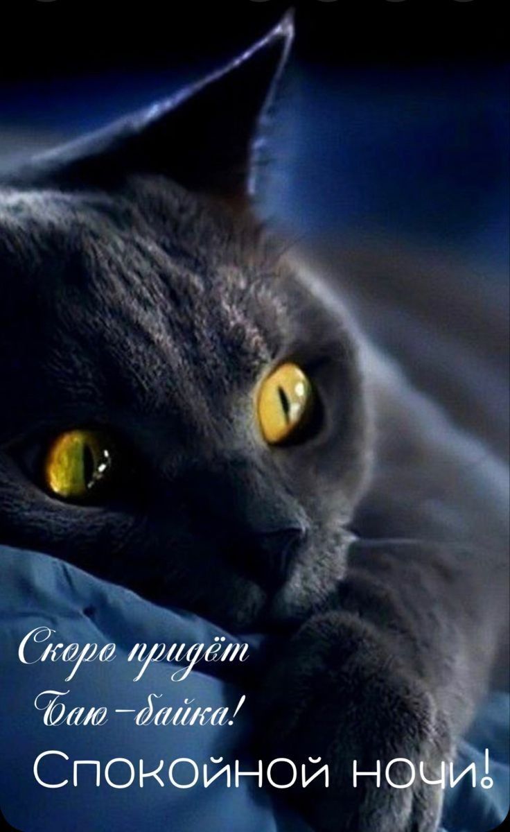 Скоро придёт баю-байка! Спокойной ночи!
