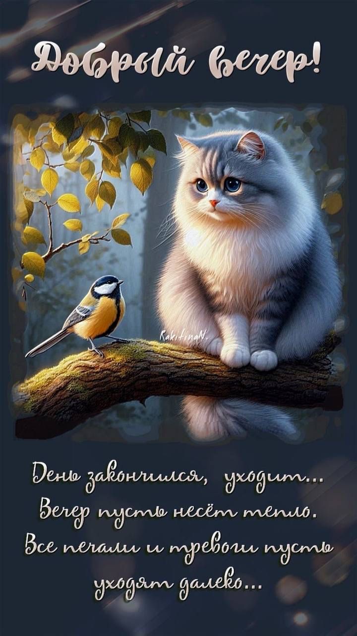 Добрый вечер!
День закончился, уходит...
Вечер пусть несёт тепло.
Все печали и тревоги пусть уходят далеко...