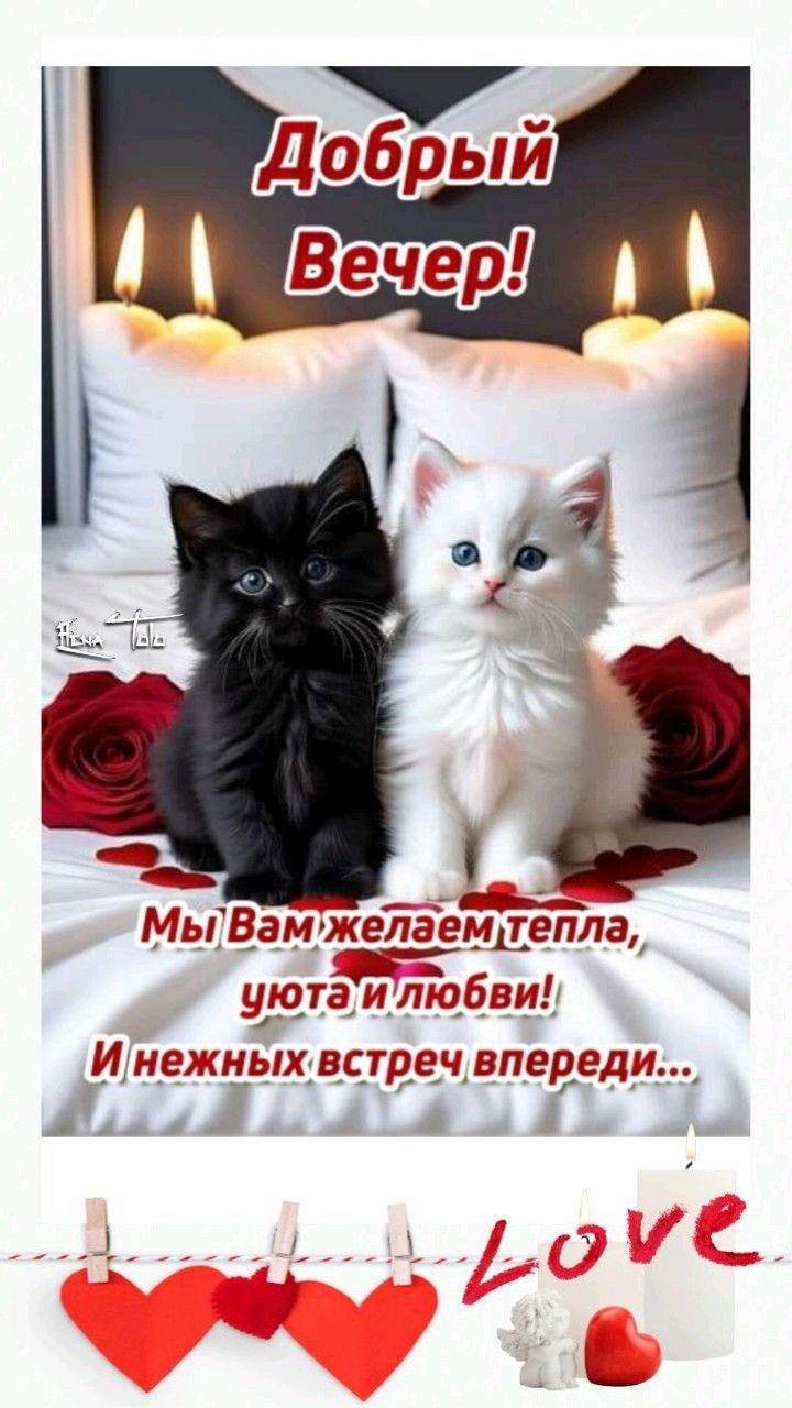 Добрый Вечер! Мы Вам желаем тепла, уюта и любви! И нежных встреч впереди...