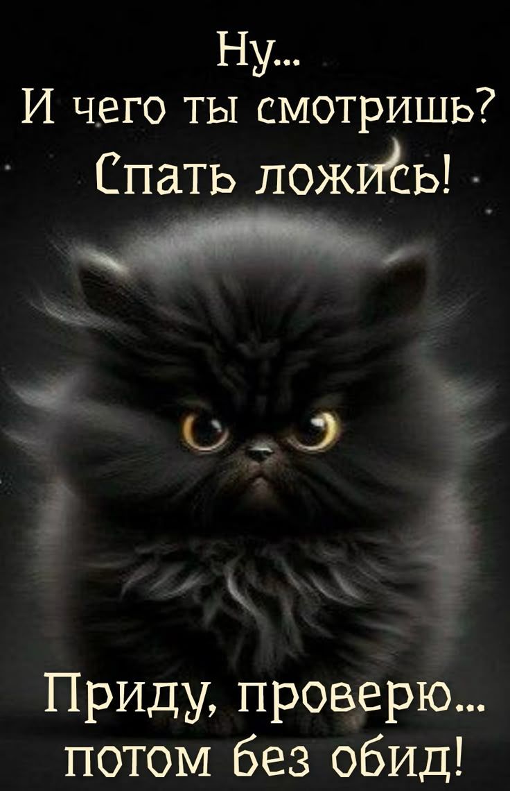 Ну... И чего ты смотришь? Спать ложись! Приду, проверю… потом без обид!